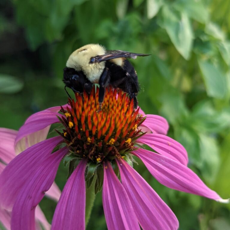 PXL_20210806_221333117