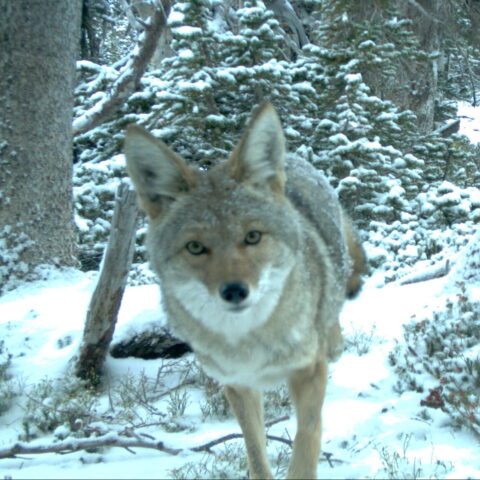 image-from-rawpixel-id-4075937-original – Copy