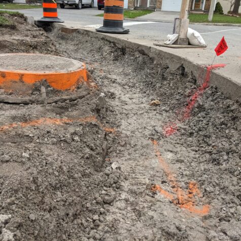 PXL_20230429_142900294