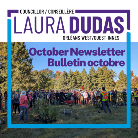 Newsletter Social media (2)